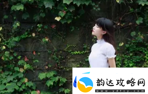 伦理漂亮的岳