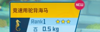 潜水员戴夫海马在哪抓