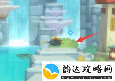 潜水员戴夫海马在哪抓