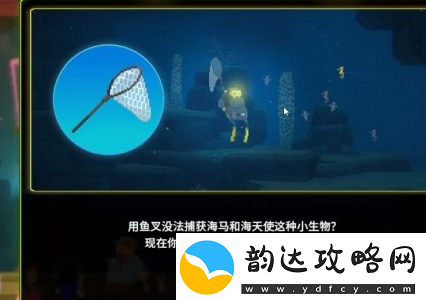 潜水员戴夫海马在哪抓