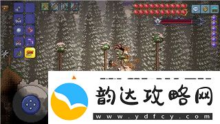 盐和避难所549级攻略——如何顺利突破这一关卡并收集更多资源