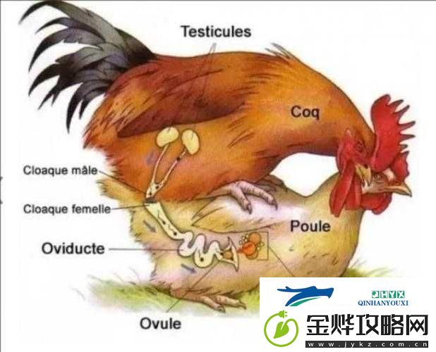 优质**灌溉系统助力植物生长与繁衍