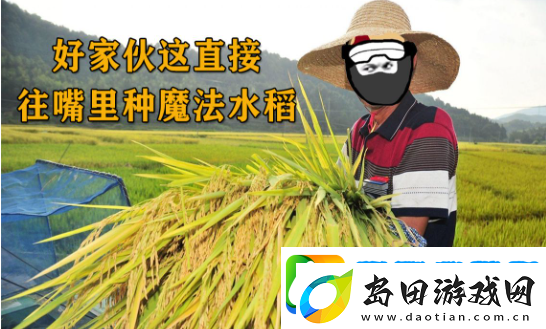 往嘴里种水稻是什么梗络用语往嘴里种水稻梗意思及出处分享
