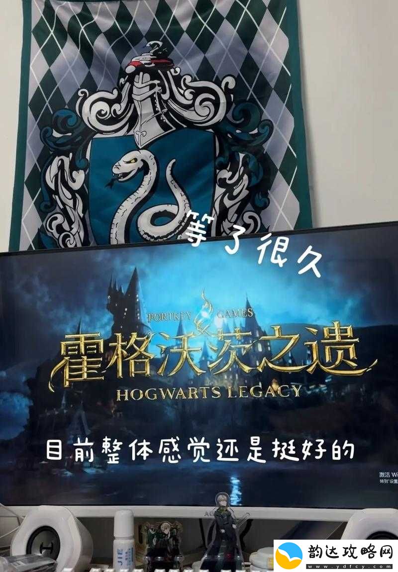 霍格沃茨之遗