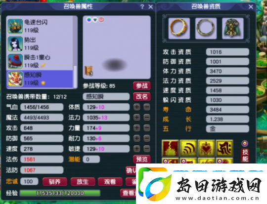 梦幻西游