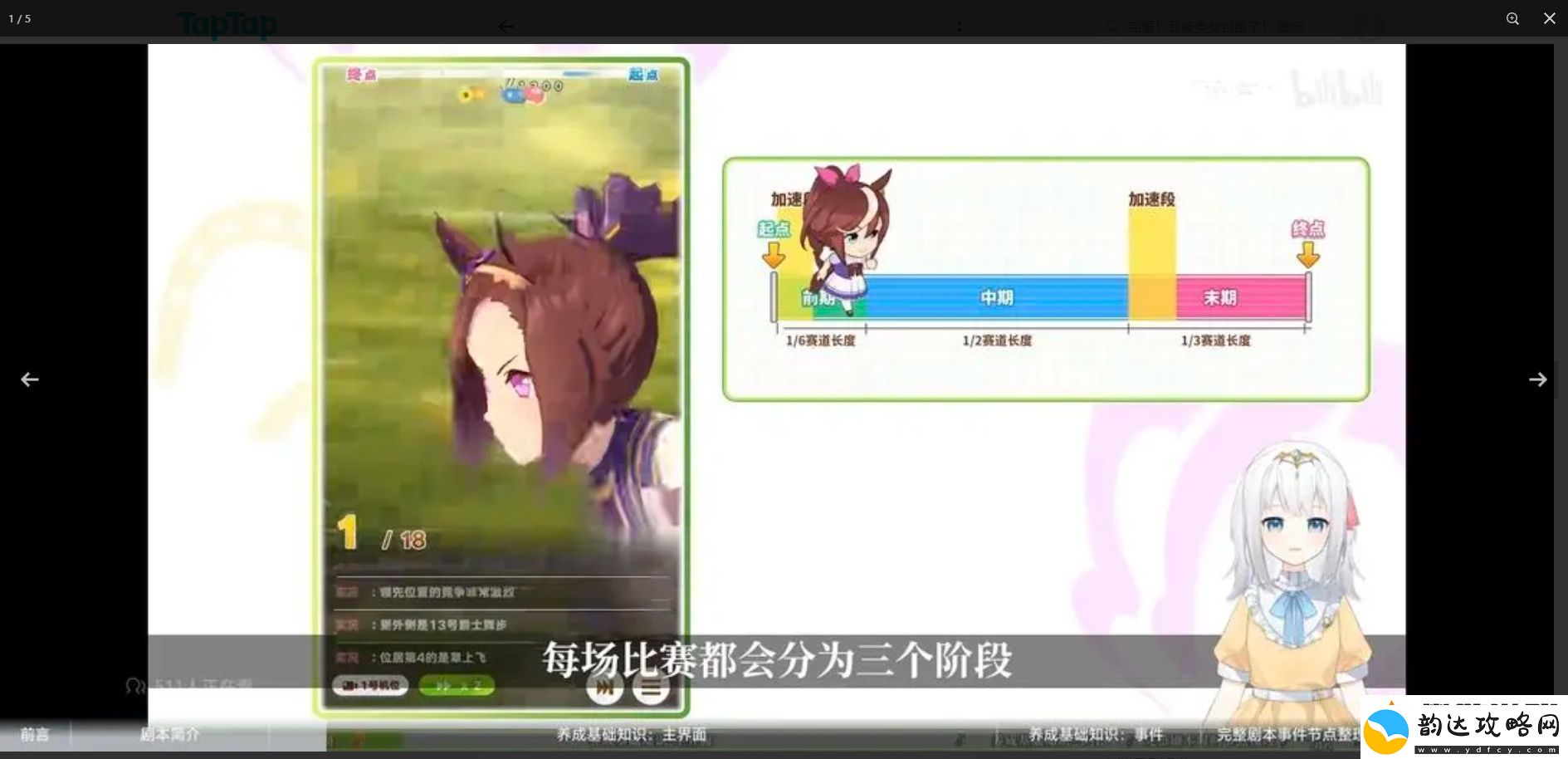 闪耀优俊少女萌新怎么养马