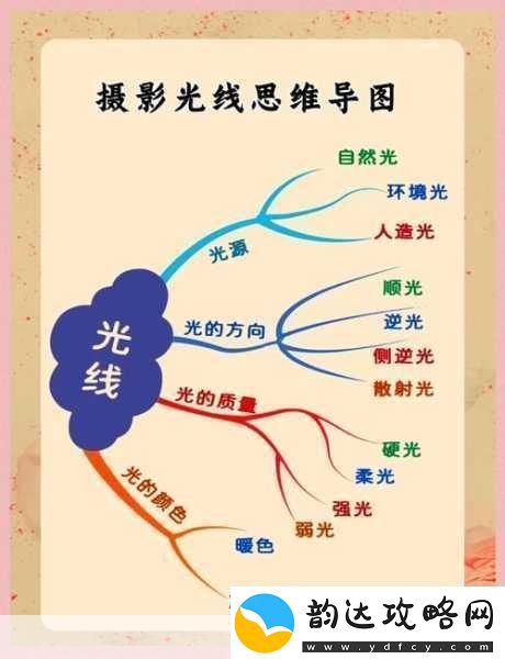 摄影艺术入门指南＂掌握光影之美