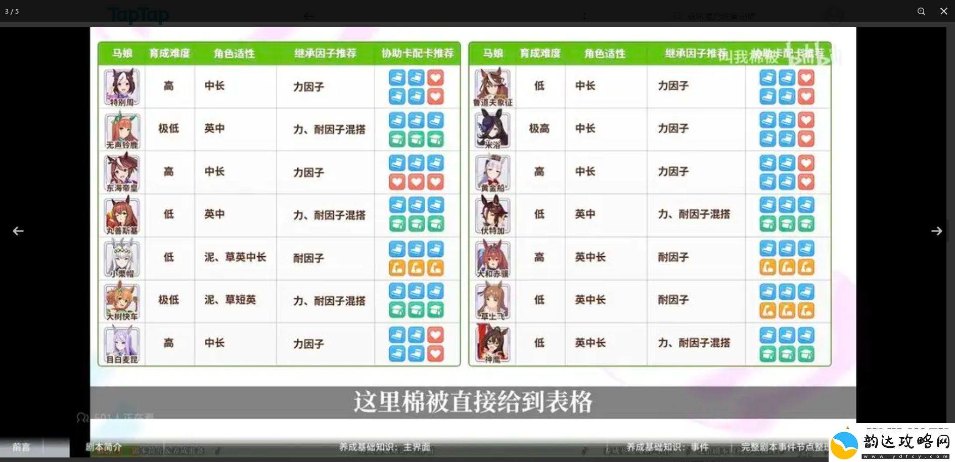 闪耀优俊少女萌新怎么养马
