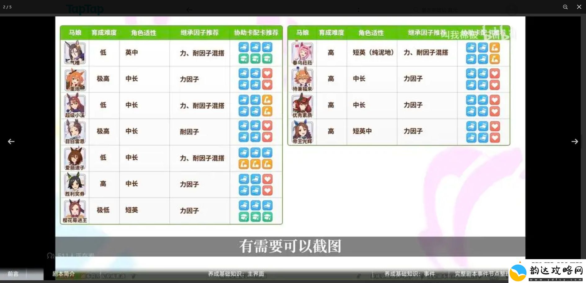 闪耀优俊少女萌新怎么养马