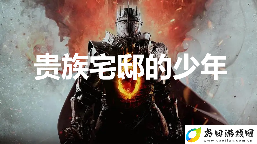 龙之信条2支线任务贵族宅邸的少年怎么完成
