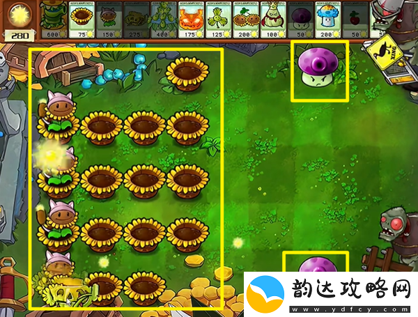 植物大战僵尸杂交版汉堡王3怎么过