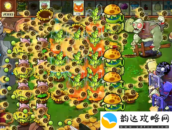 植物大战僵尸杂交版汉堡王3怎么过