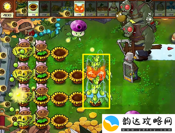 植物大战僵尸杂交版汉堡王3怎么过