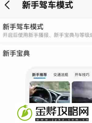 高德地图新手驾车模式怎么设置