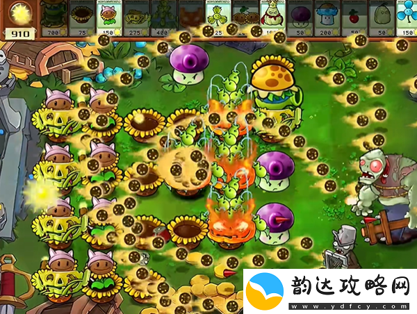 植物大战僵尸杂交版汉堡王3怎么过