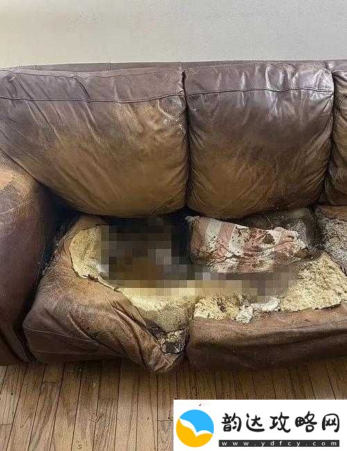小哑巴身怀六甲孤独地坐在沙发上