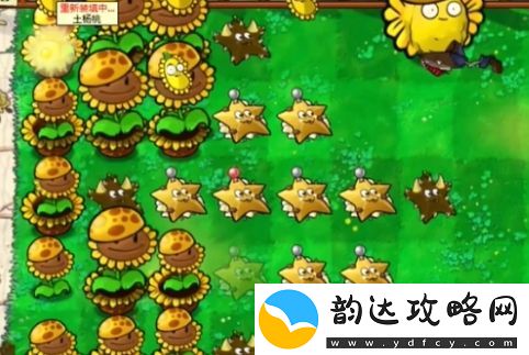 植物大战僵尸杂交版迷你游戏土星通关攻略