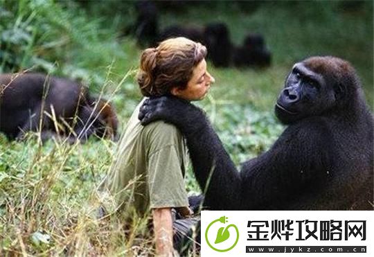 动物与人类的“纠葛”