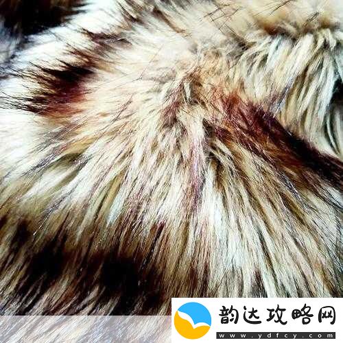 AAAA级的毛皮最简单三个颜色毛皮的色彩之旅