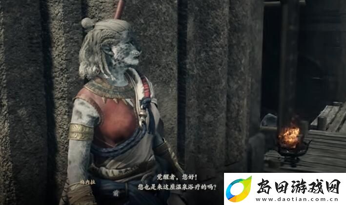 龙之信条2相依的火焰任务怎么做