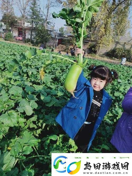 拔萝卜又痛又叫