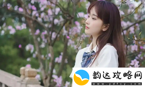 成全在线观看免费完整