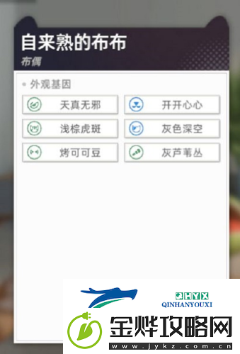 猫之城怎么配猫