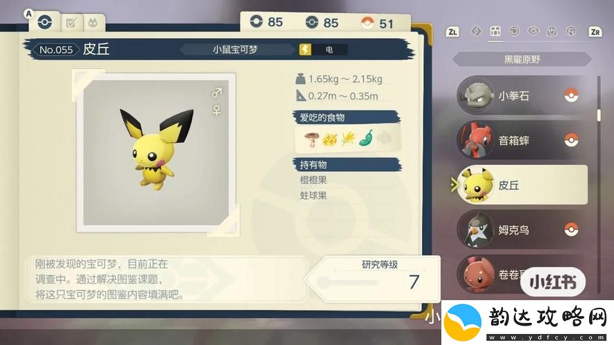 口袋妖怪单机版皮丘在哪里