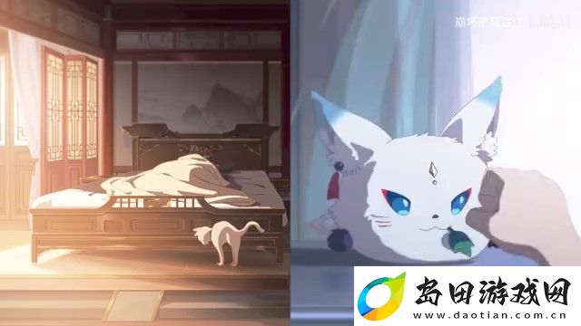 崩坏