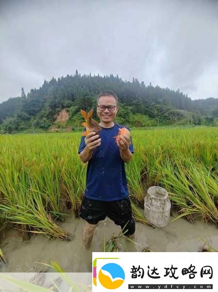 一本稻和啦啦啦什么情况