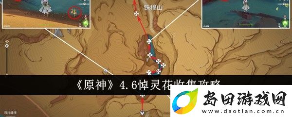 原神4.6悼灵花收集攻略