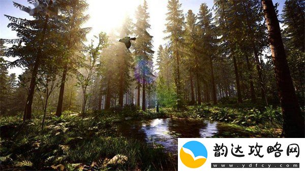 森林之子作弊码最全汇总表