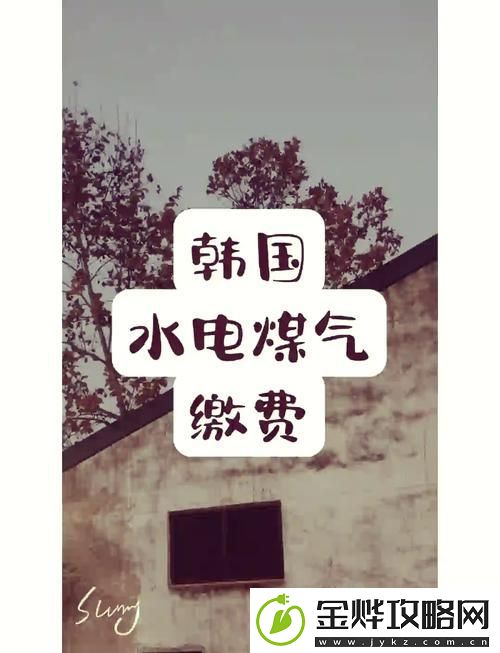 电费单调好看的韩国三色电费