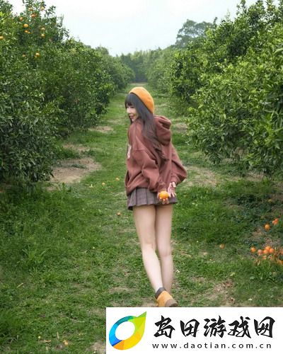 菠萝蜜在线观看免费观看电视