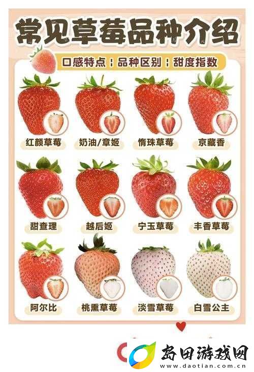 蜜丝婷大草莓和小草莓有什么区别