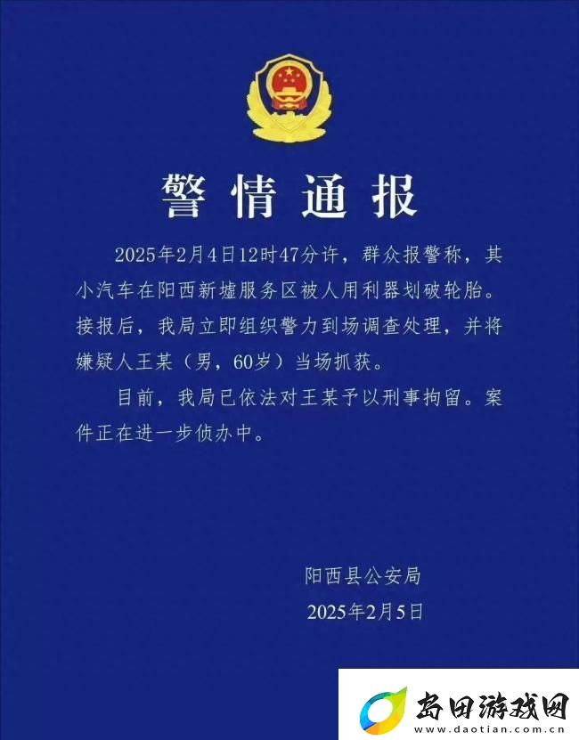 广东阳江小米SU7服务区遭割胎背后