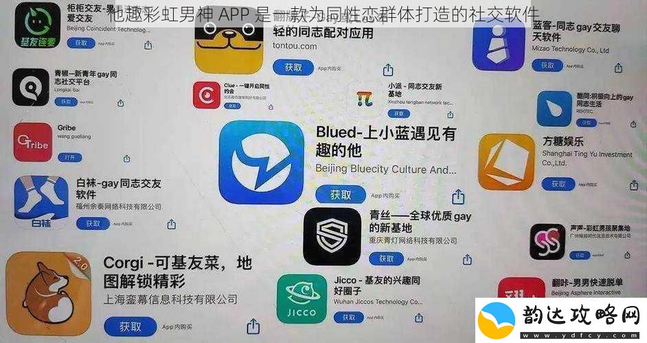 他趣彩虹男神