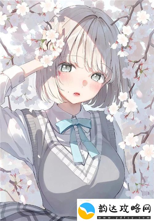видео美国