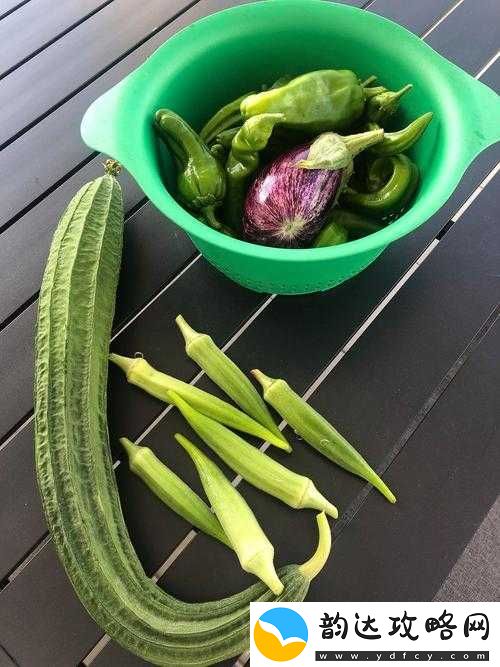 番茄黄瓜丝瓜草莓秋葵大全