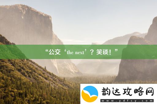 “公交‘the