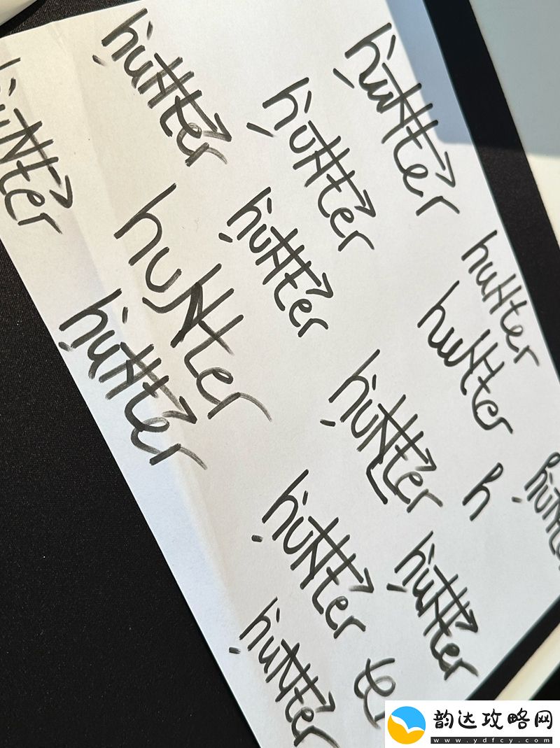 苦练签名NiKo及huNter写满签名方案