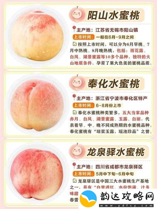 水蜜桃