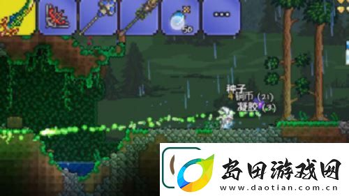泰拉瑞亚神圣的种子怎么种