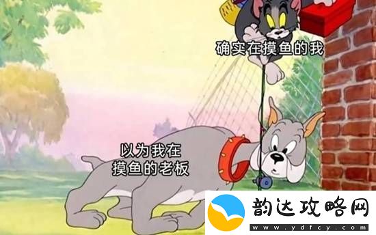 和脸一起出镜的博主