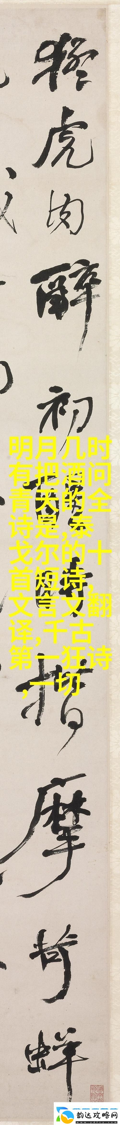 x7x7任意噪入口