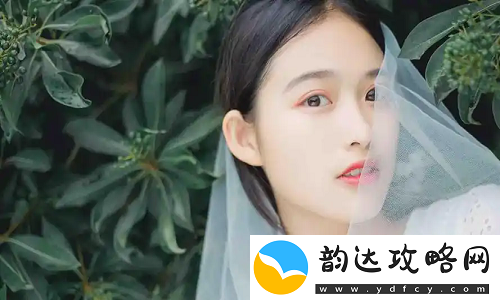大地资源二在线观看免费高清上线即热