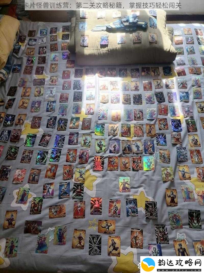 卡片怪兽训练营