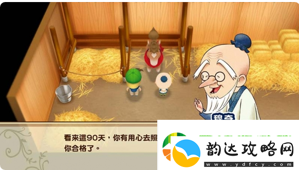 牧场物语男孩版怎么得到马