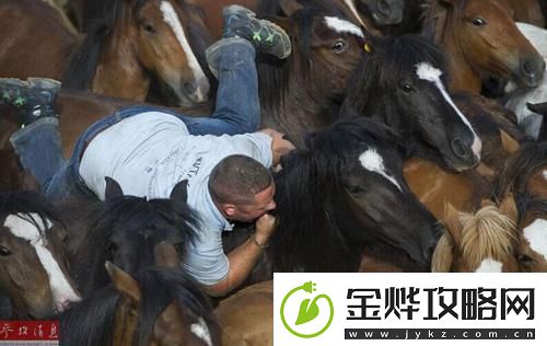 人马大战CRM