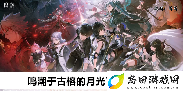 鸣潮于古榕的月光下任务攻略